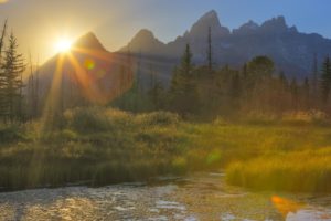 landscapes, Ponds, Wyoming, Grand, Teton, National, Park, National, Park