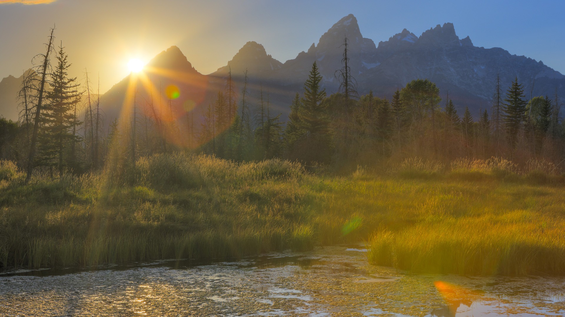 landscapes, Ponds, Wyoming, Grand, Teton, National, Park, National, Park Wallpaper
