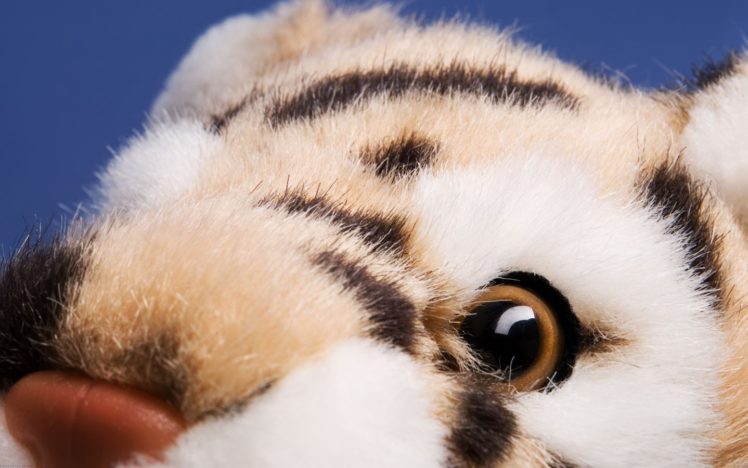 tigers, Toys,  children , Stuffed, Animals HD Wallpaper Desktop Background