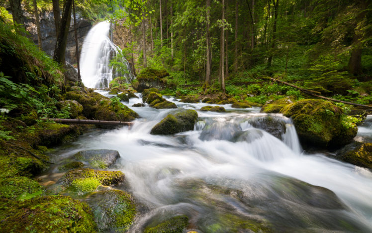nature, Landscapes, Forests, Trees, Rivers, Water HD Wallpaper Desktop Background