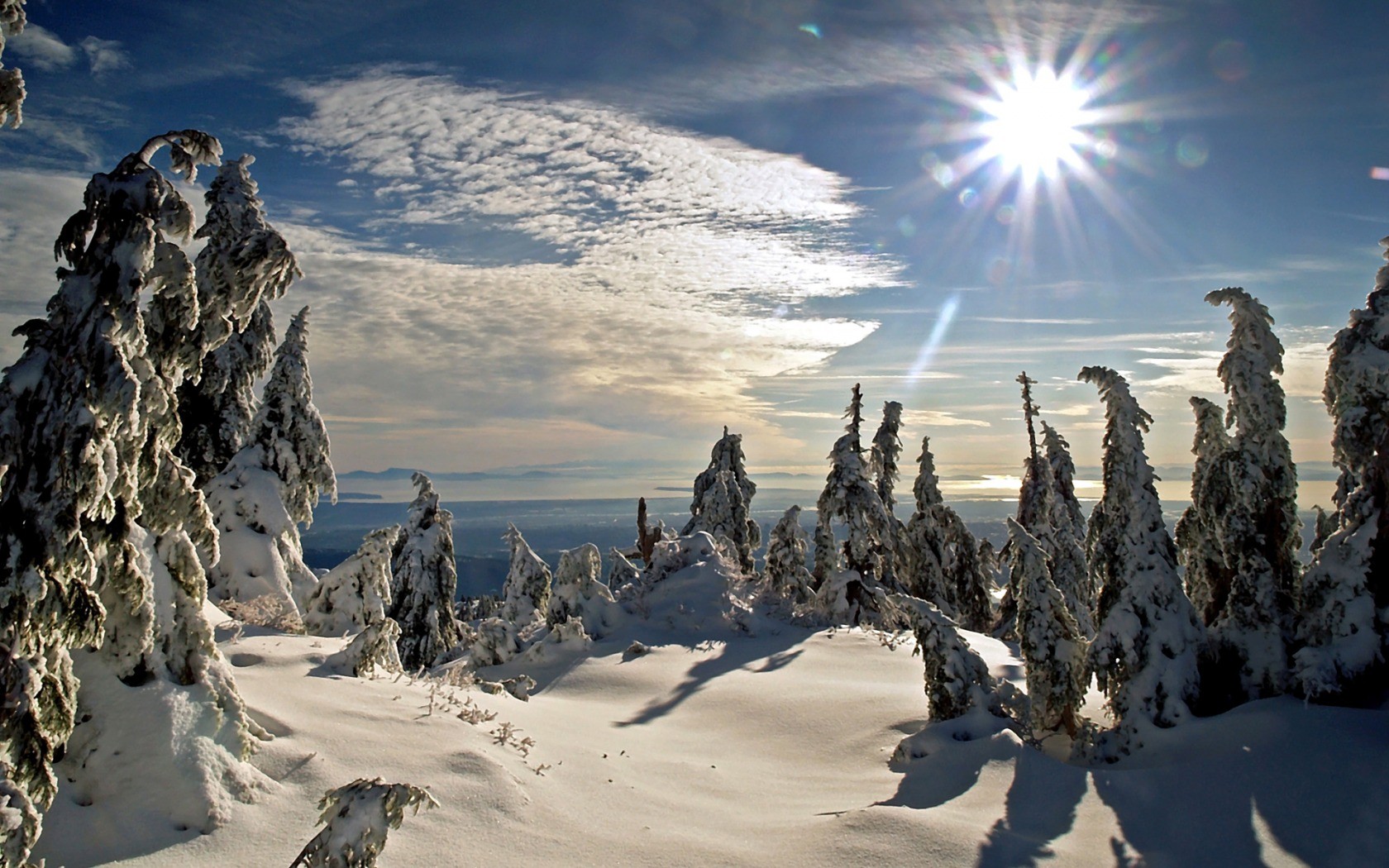 nature, Winter, Snow Wallpaper