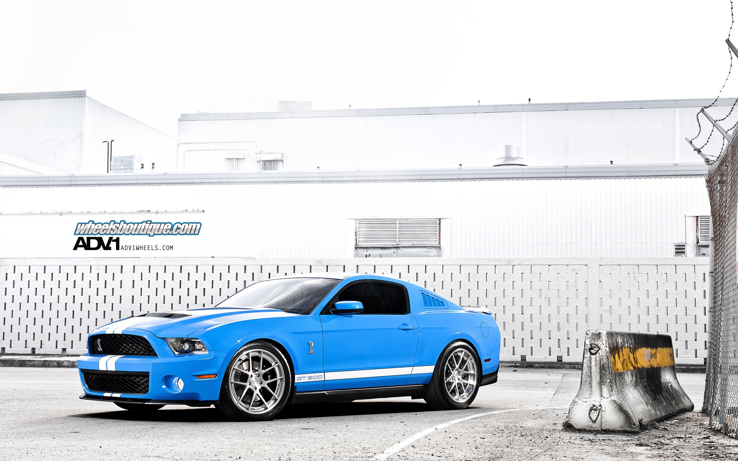 vehicles, Ford, Mustang, Ford, Shelby Wallpaper