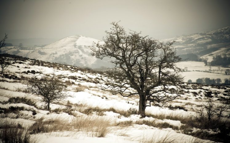 landscapes, Trees, Snow, Landscapes, Snow, Plow HD Wallpaper Desktop Background