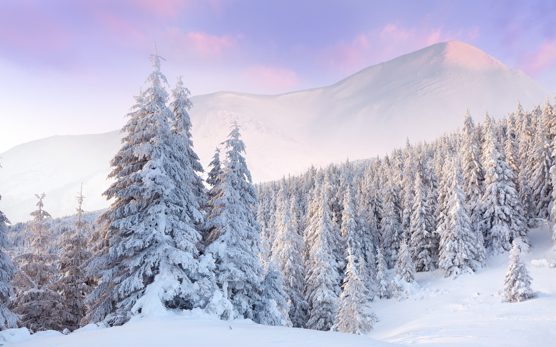 nature, Winter, Seasons, Snow, Trees, Forest, Mountains, Landscapes Wallpaper