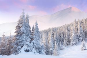 nature, Winter, Seasons, Snow, Trees, Forest, Mountains, Landscapes