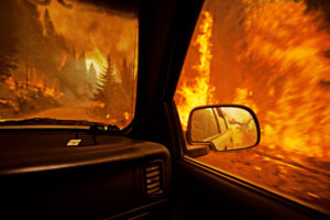 fantasy, Manipulations, Cg, Digital art, Fire, Flames, Dragons, Trees, Forests, Vehicles, Cars