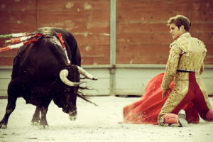 bullfighting, People, Matadores, Animals, Cows, Bulls, Battles