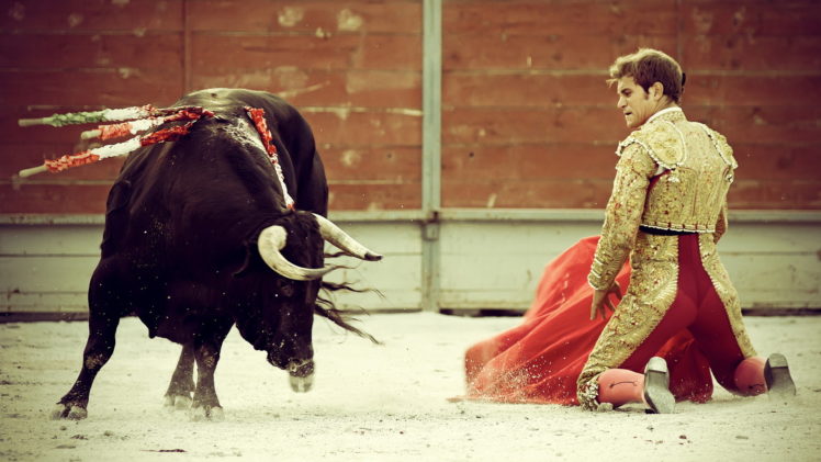 bullfighting, People, Matadores, Animals, Cows, Bulls, Battles HD Wallpaper Desktop Background
