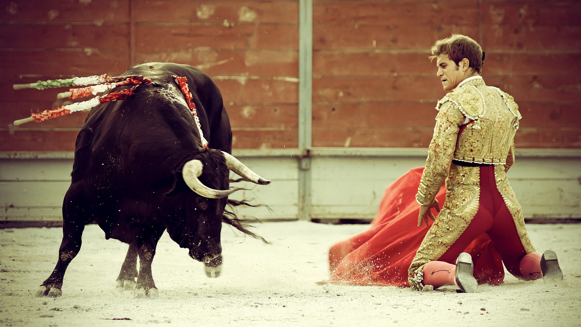 bullfighting, People, Matadores, Animals, Cows, Bulls, Battles Wallpaper