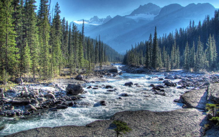 226834 HD Wallpaper Desktop Background