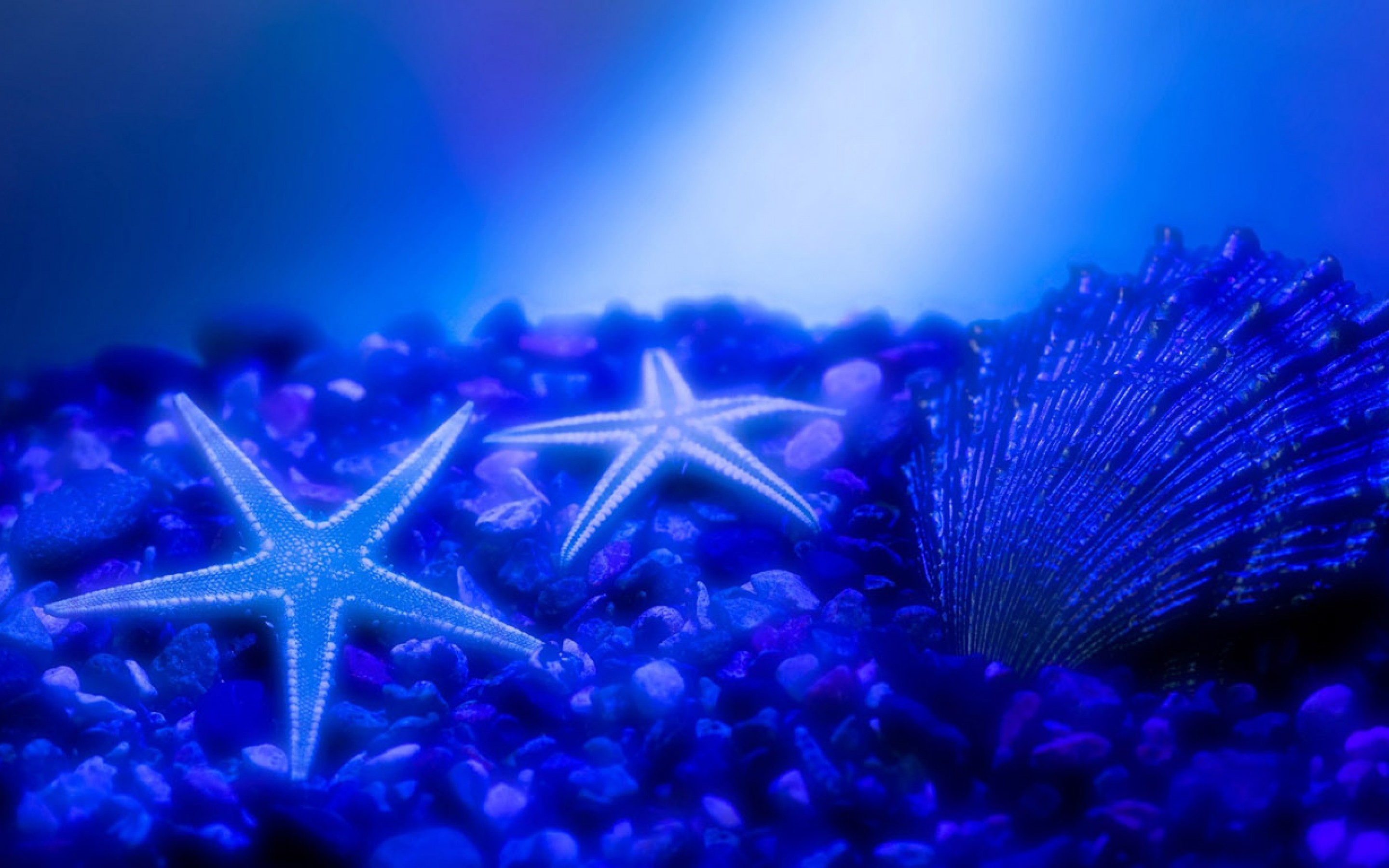 stars Wallpaper