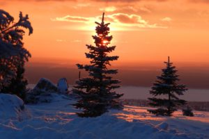 winter, Snow, Tree, Sunset