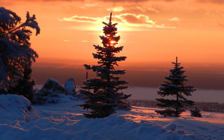winter, Snow, Tree, Sunset HD Wallpaper Desktop Background