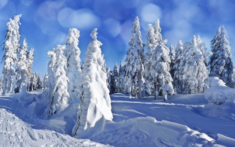 landscapes, Nature, Winter HD Wallpaper Desktop Background