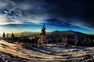 clouds, Landscapes, Winter, Trees