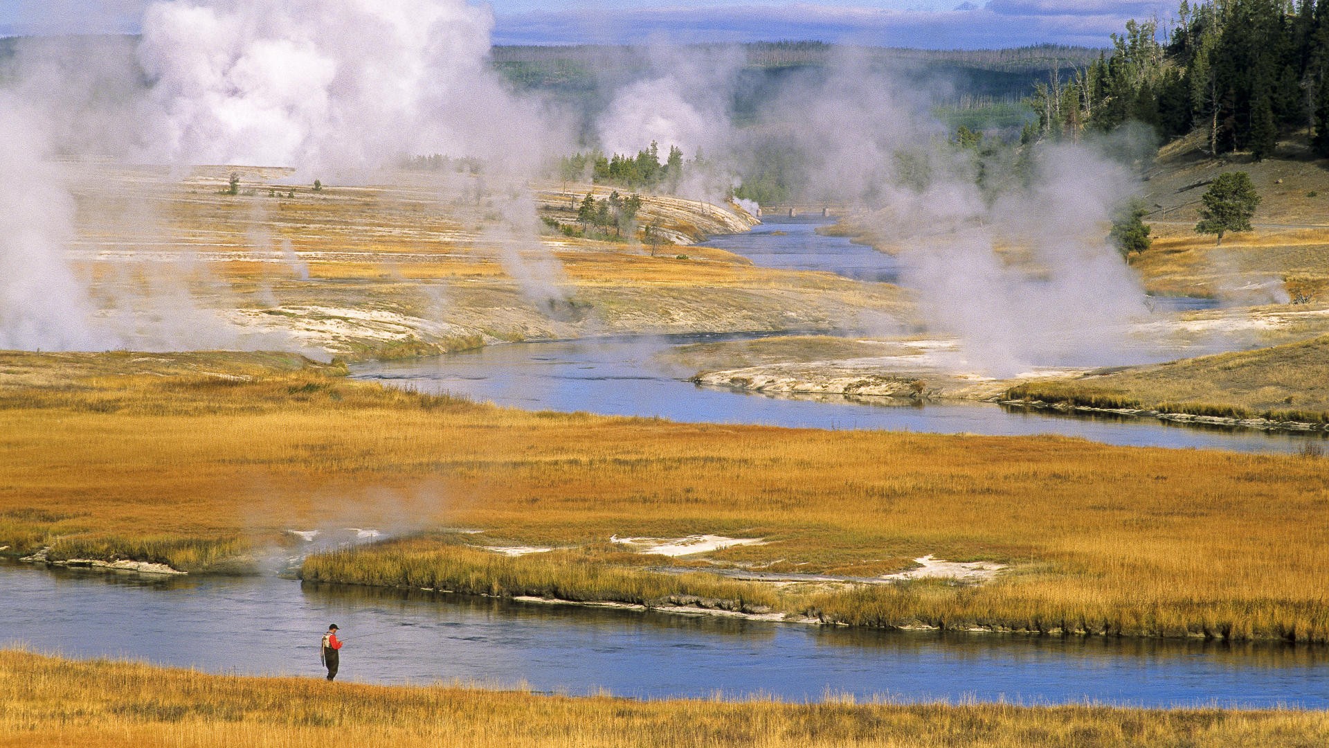 yellowstone, National, Park Wallpaper