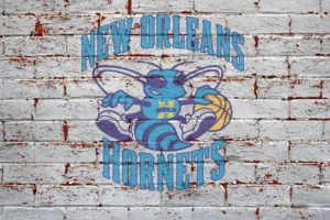new, Orleans, Hornets, Pelicans, Nba, Basketball,  7