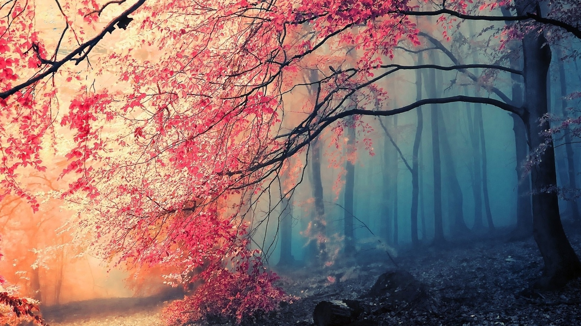 landscapes, Nature, Forests, Autumn, Fall, Seasons, Artistic, Paintings Wallpaper