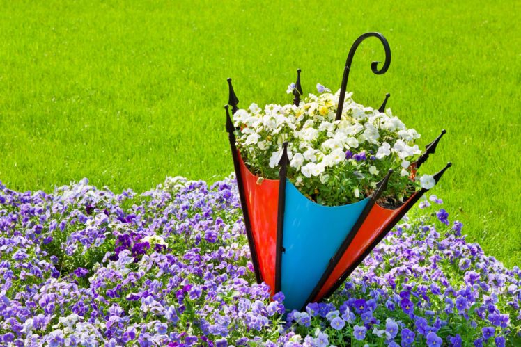 pansies, Viola, Flowerbed, Umbrella HD Wallpaper Desktop Background