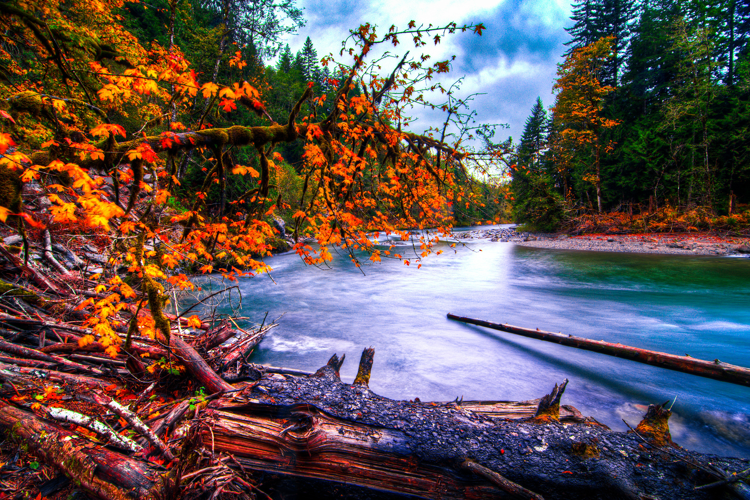 snoqualmie, River, Washington, River, Forest, Autumn, Landscape Wallpaper