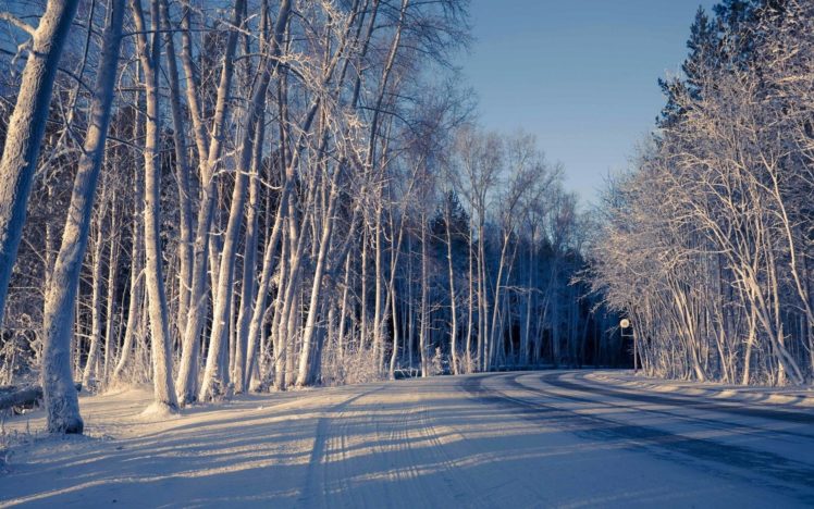 winter, Road, Nature, Trees, Snow HD Wallpaper Desktop Background