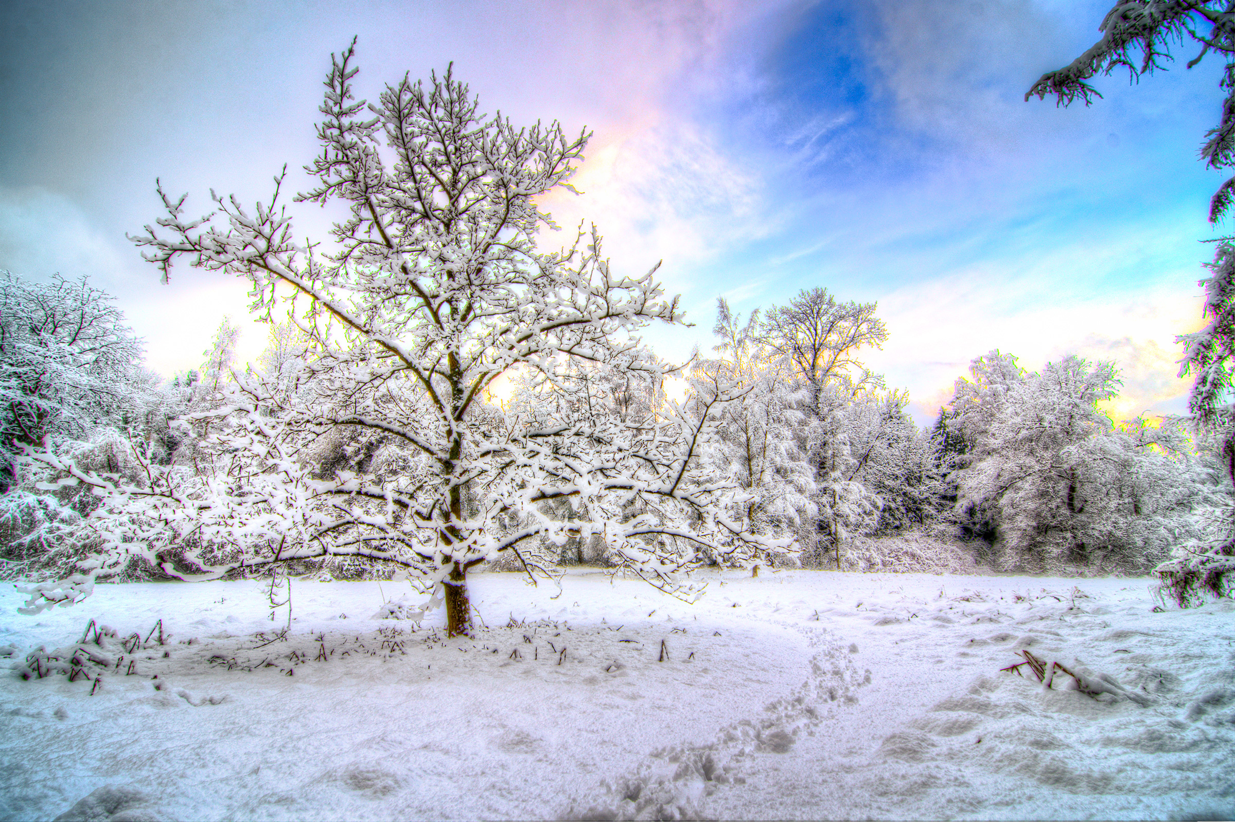 winter, Snow, Trees, Sky, Landscape Wallpaper