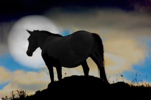 horse, Silhouette, Moon