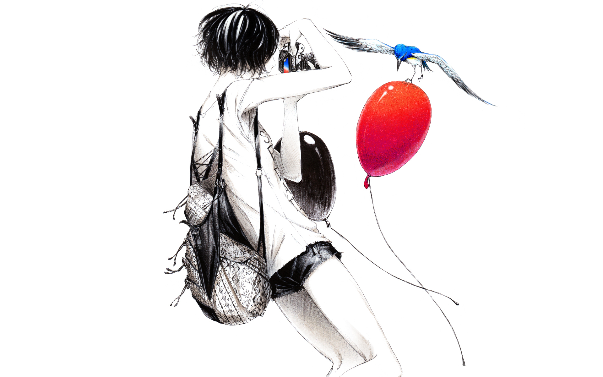sawasawa, Anime, Photography, Original, Camera, Women, Females, Girls, Balloons, Birds, Animals, Situations Wallpaper