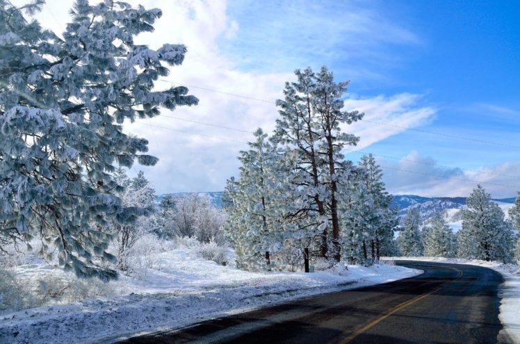 winter, Road, Trees, Landscape HD Wallpaper Desktop Background