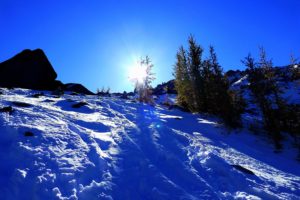 winter, Snow, Hill, Trees, Landscape