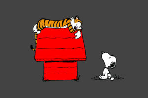 calvin, And, Hobbes, Snoopy, Sleep, Peanuts, Tiger