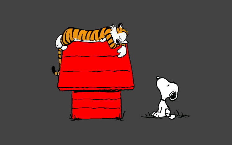 calvin, And, Hobbes, Snoopy, Sleep, Peanuts, Tiger HD Wallpaper Desktop Background