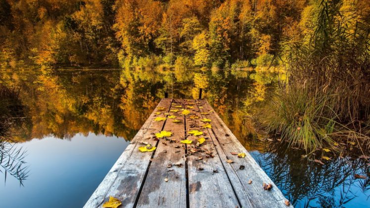 nature, Trees, Autumn, Lakes HD Wallpaper Desktop Background