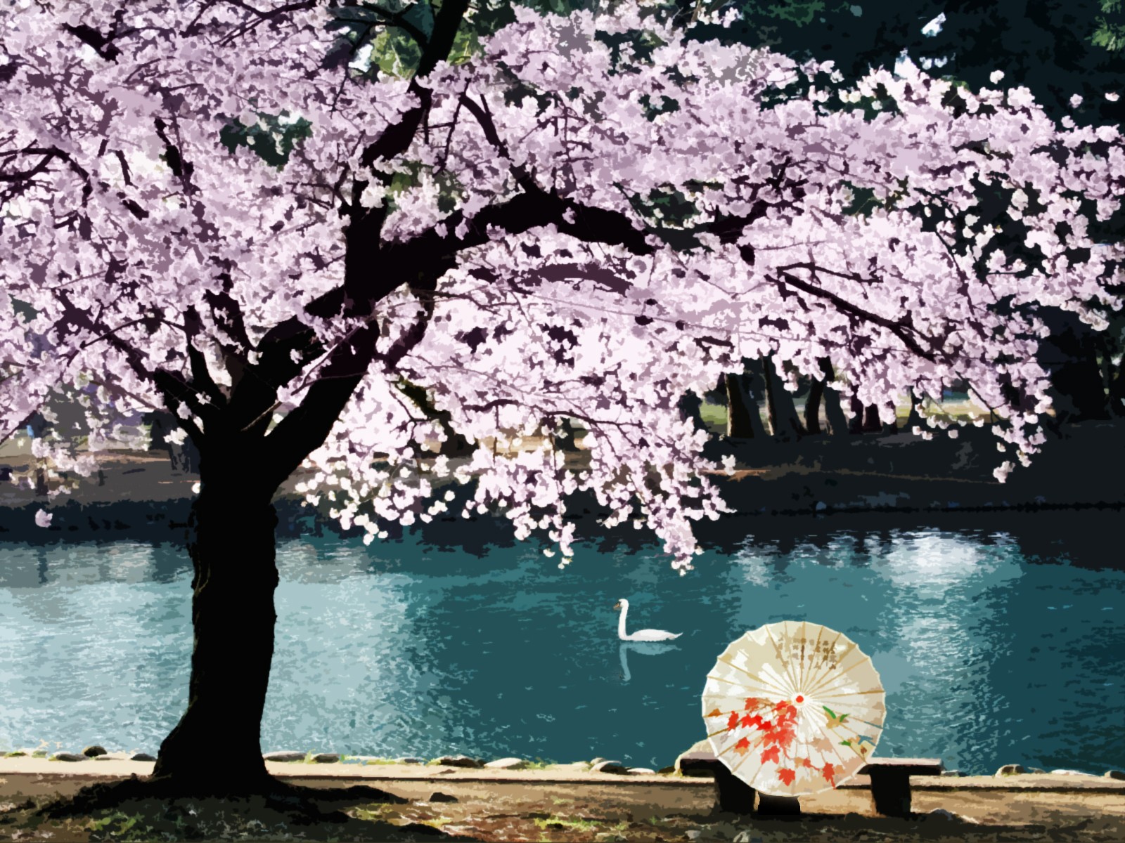 water, Cherry, Blossoms Wallpaper