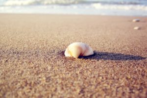 nature, Waves, Stones, Seashells, Sea, Beaches
