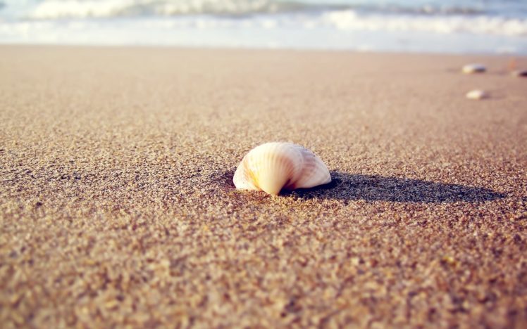 nature, Waves, Stones, Seashells, Sea, Beaches HD Wallpaper Desktop Background