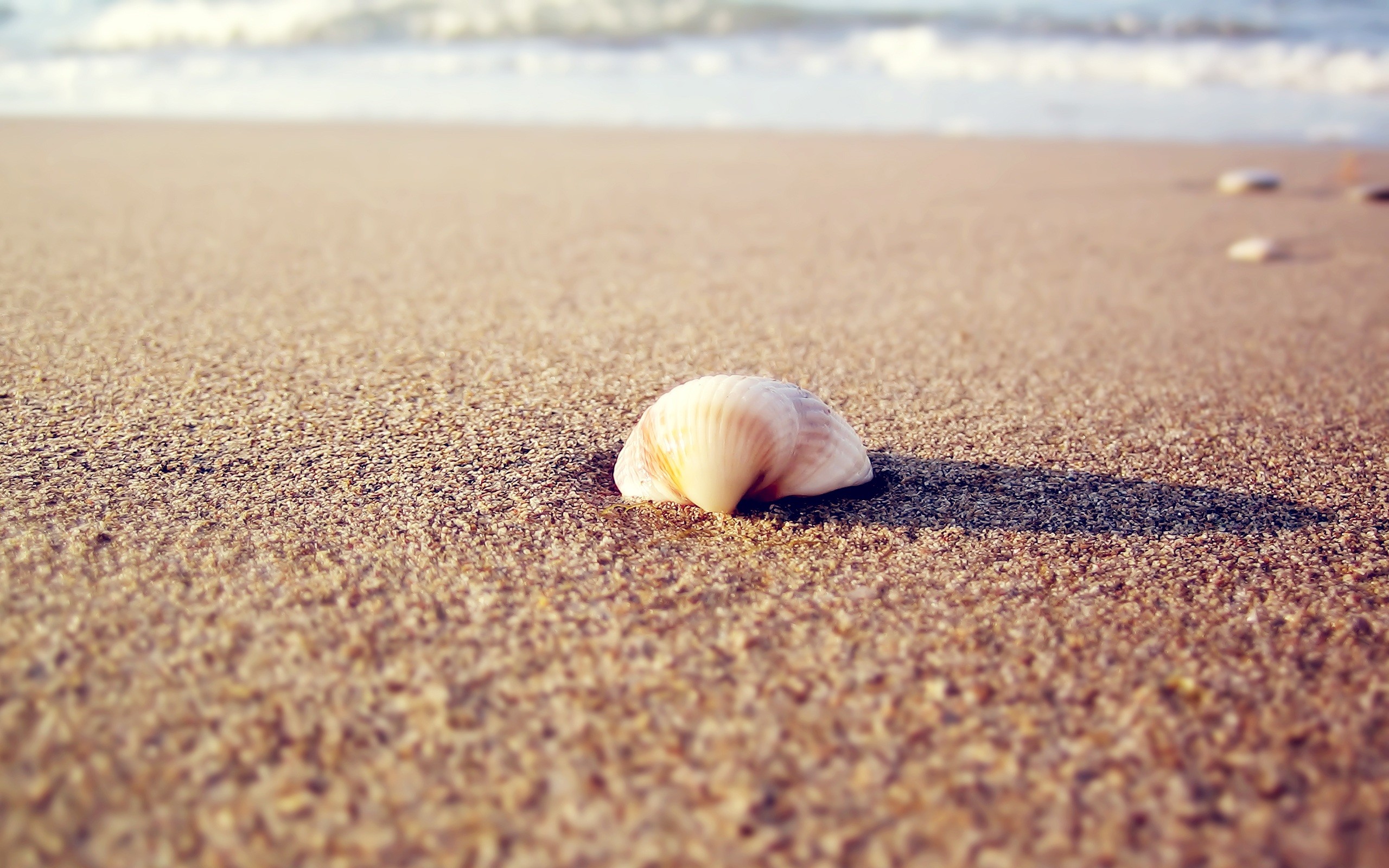 nature, Waves, Stones, Seashells, Sea, Beaches Wallpaper