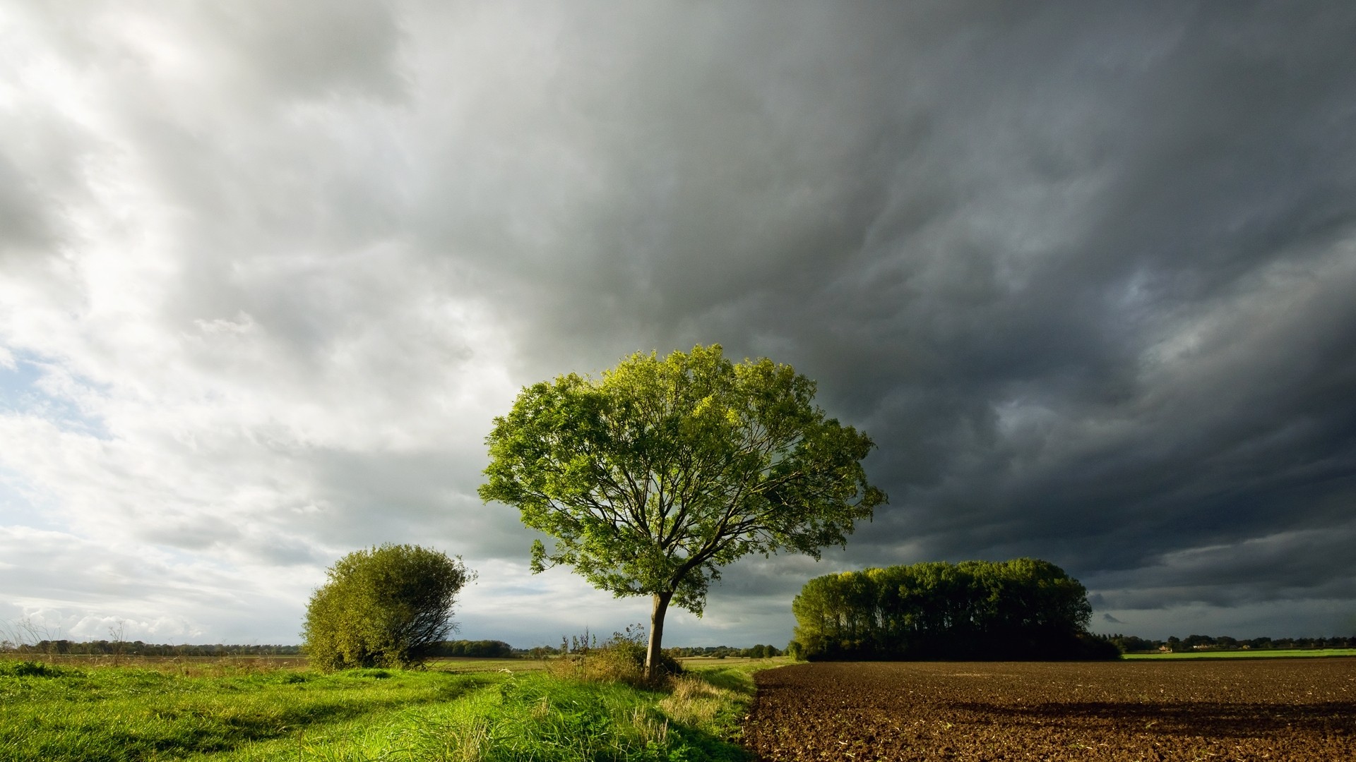 nature, Trees, Countryside, Land, Skies Wallpaper