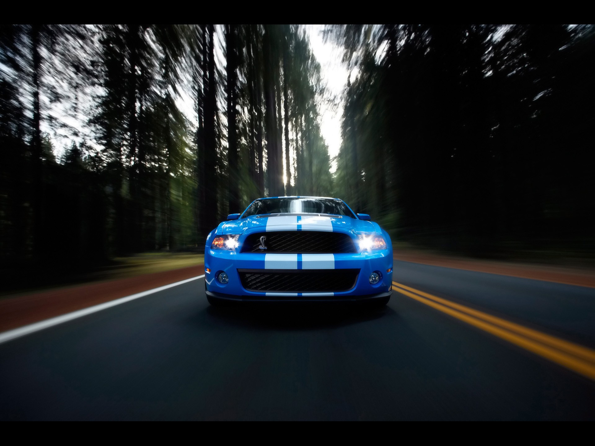muscle, Cars, Ford, Shelby, Ford, Mustang, Shelby, Gt500 Wallpaper