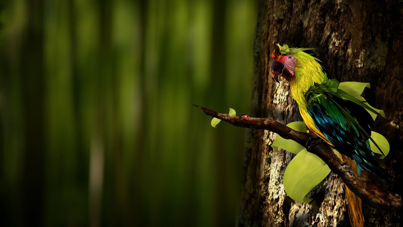 birds, Parrots, Tree, Trunk, Blurred, Background Wallpaper