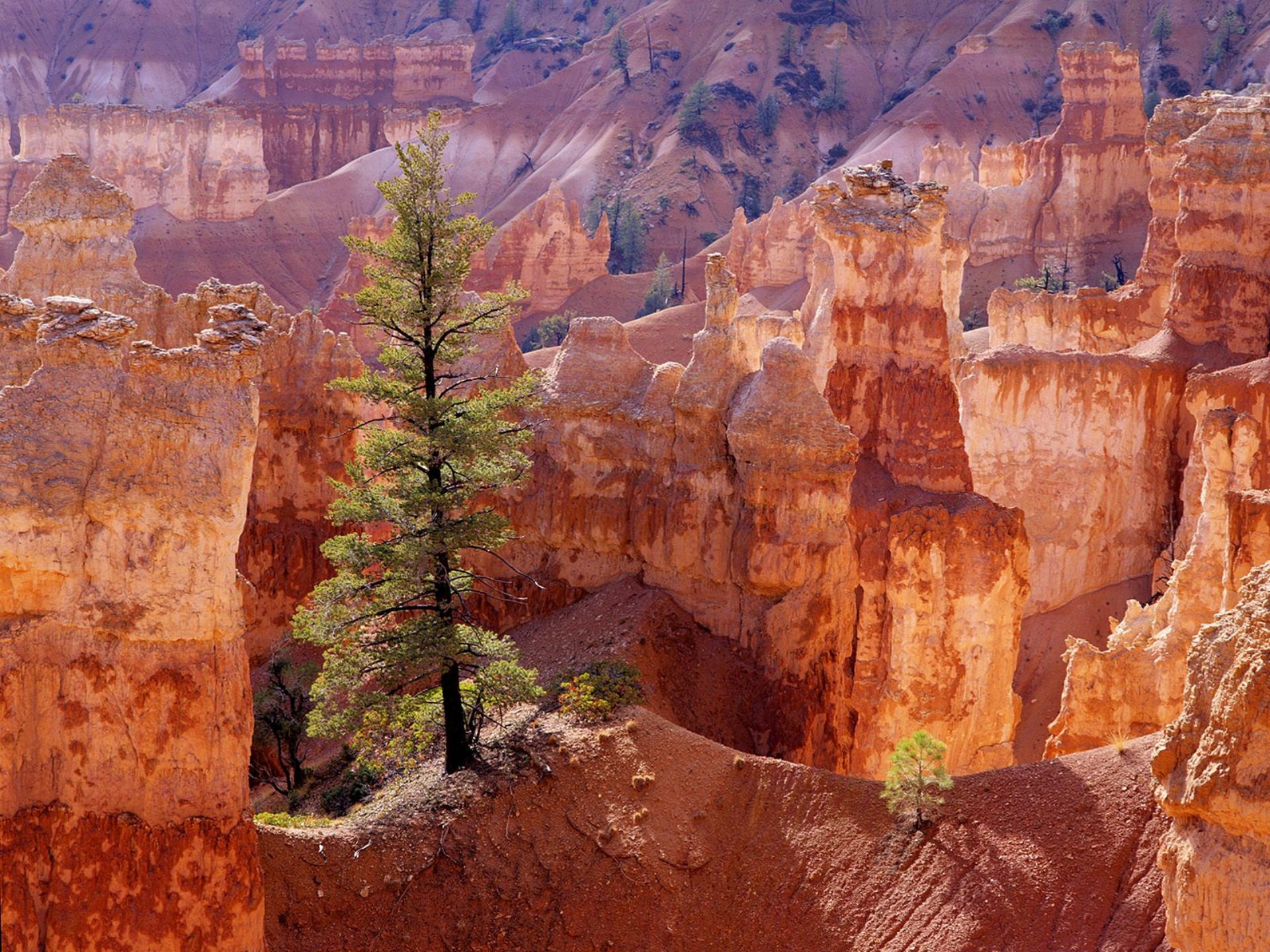 landscapes, Nature Wallpaper