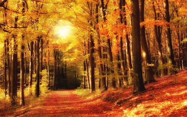 landscapes, Hdr, Photography HD Wallpaper Desktop Background