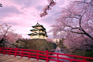 japan, Cherry, Blossoms, Blossoms, Temples, Japanese, Bridge