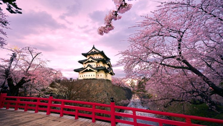 japan, Cherry, Blossoms, Blossoms, Temples, Japanese, Bridge HD Wallpaper Desktop Background