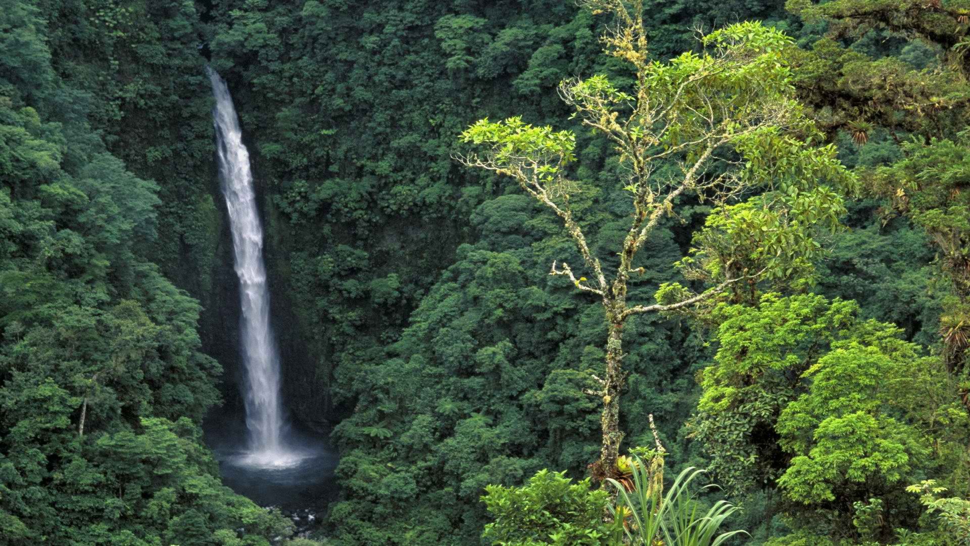 falls, Costa, Rica Wallpaper