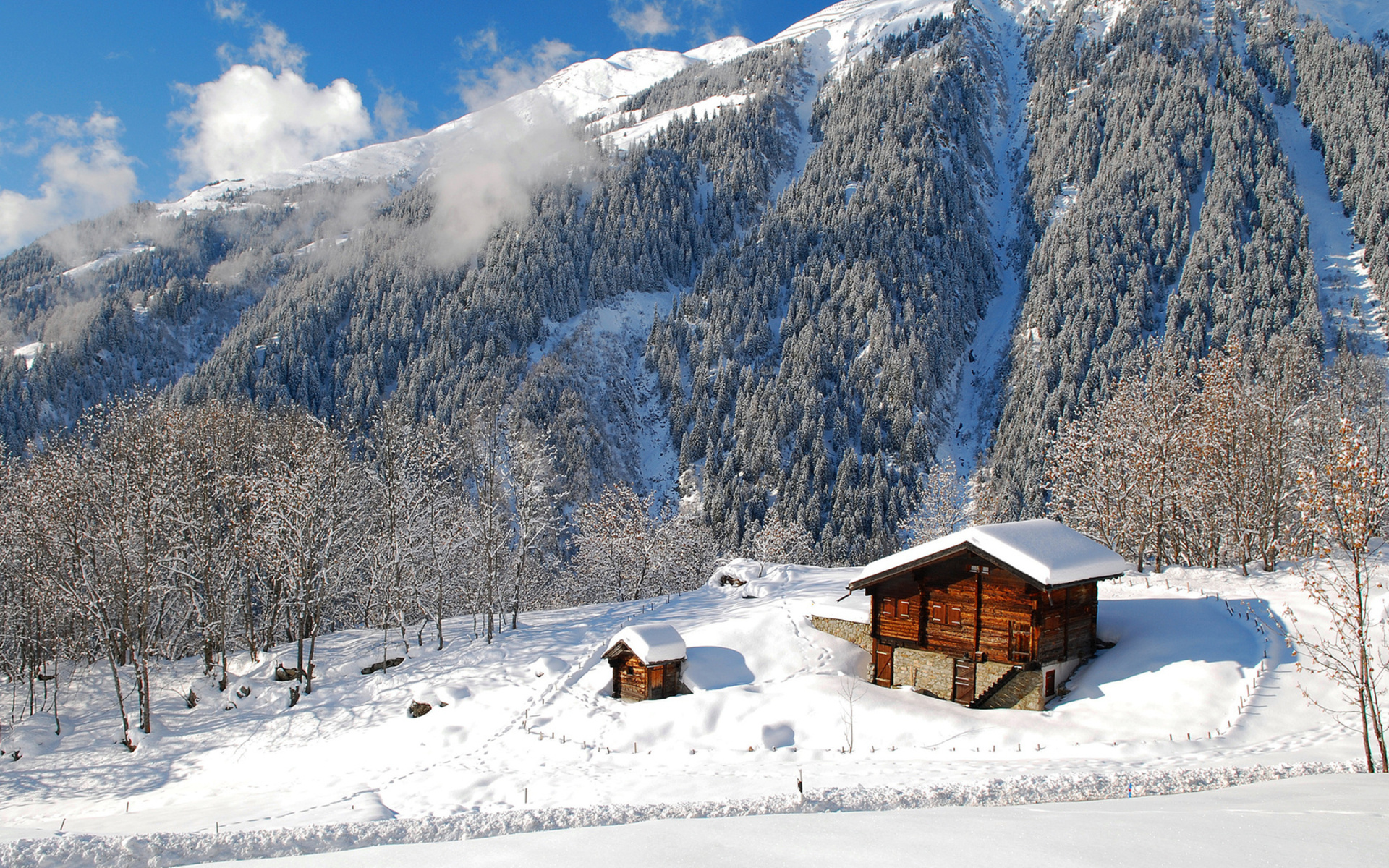 landscapes, Nature, Winter, Snow, Seasonal, Trees, Forests, Mountains, Scenic Wallpaper