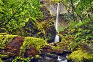 moss, Oregon, Waterfalls, Columbia