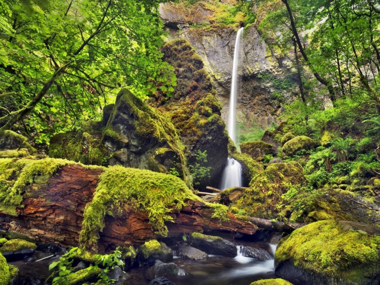 moss, Oregon, Waterfalls, Columbia HD Wallpaper Desktop Background