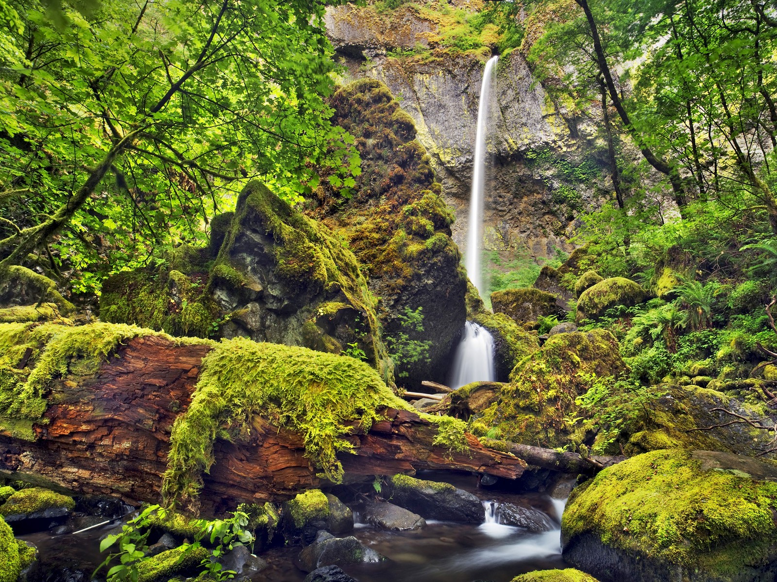 moss, Oregon, Waterfalls, Columbia Wallpaper