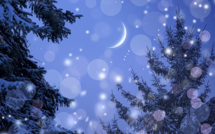 winter, Snow, Snowflakes, Christmas, Trees, Forests, Skies, Seasonal, Moons, Holidays HD Wallpaper Desktop Background